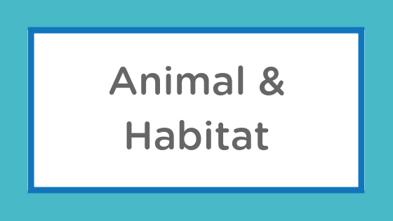animal habitat