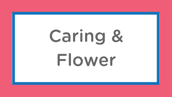 caring flower
