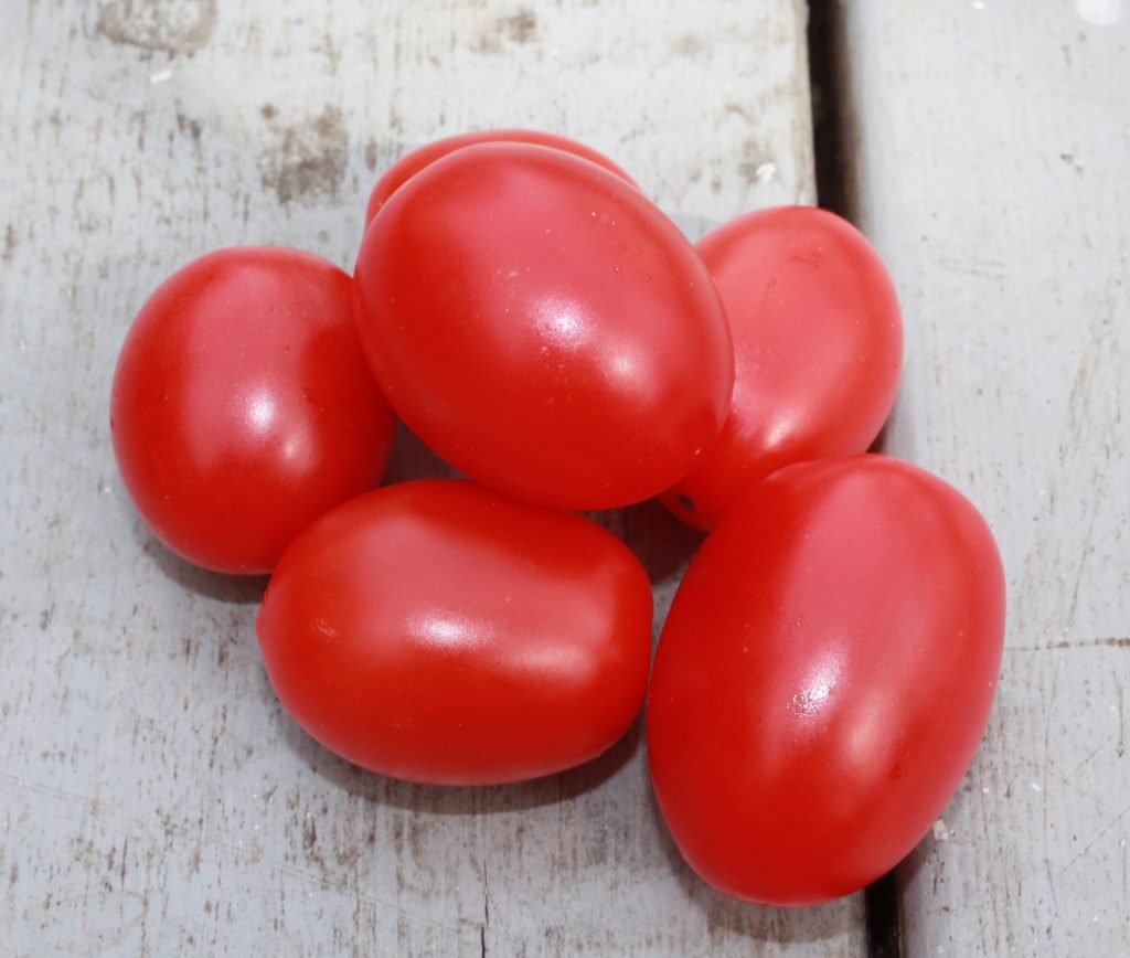 Photo of roma tomatoes