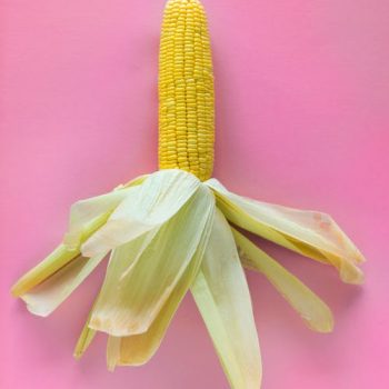 corn on the cob on pink background