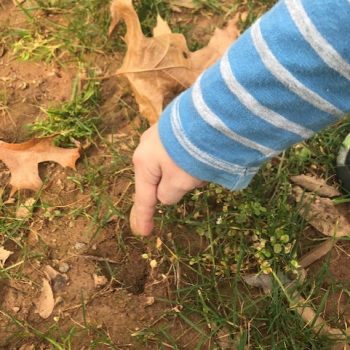 Child's hand pointing to deer footprint