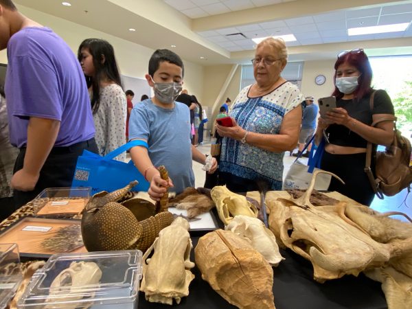 Discovery Place brought nature items for kids to explore at a CMS back-to-school bash at Renaissance West STEAM Academy on Aug. 12.