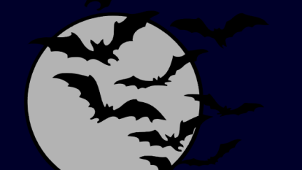 bats in front of a full moon