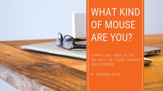 Changing Your Career:  What Kind of Mouse Are You?